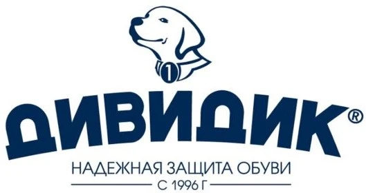 ДИВИДИК